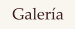 Galer�a